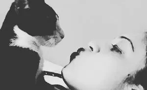 From Pet-O-Phobia To Cat-O-Philia