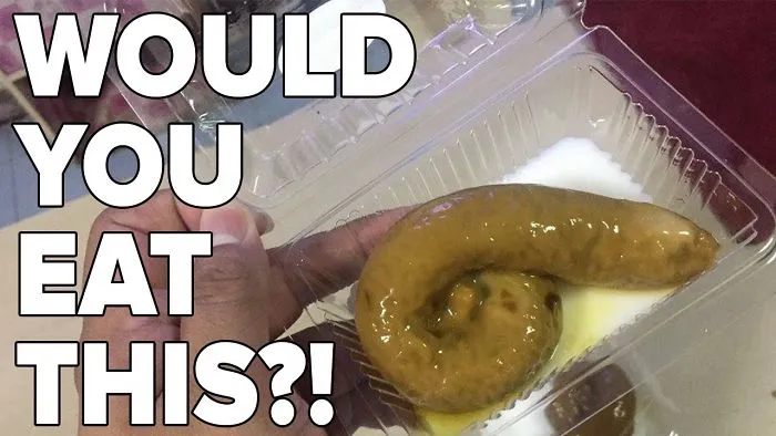 Would You Eat This Poop Pudding?