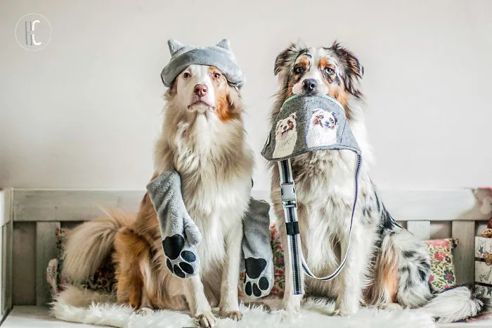Purrfect Brand For Animals Lovers