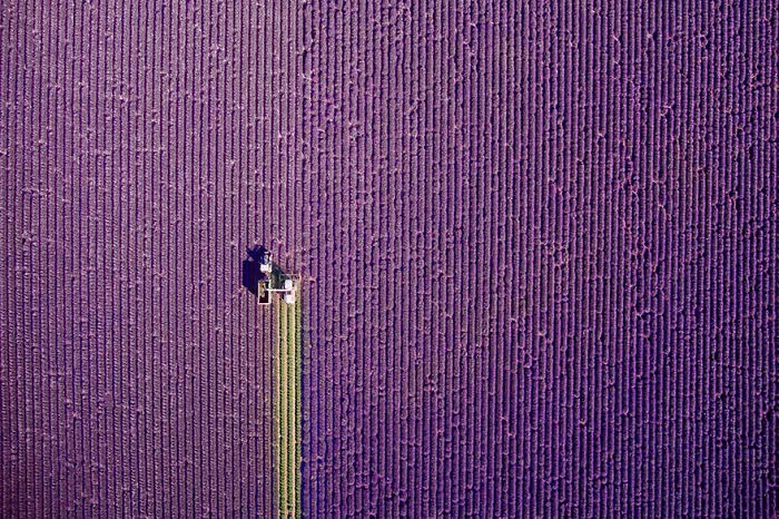 Provence, Summer Trim, France (Nature - 1st Place)