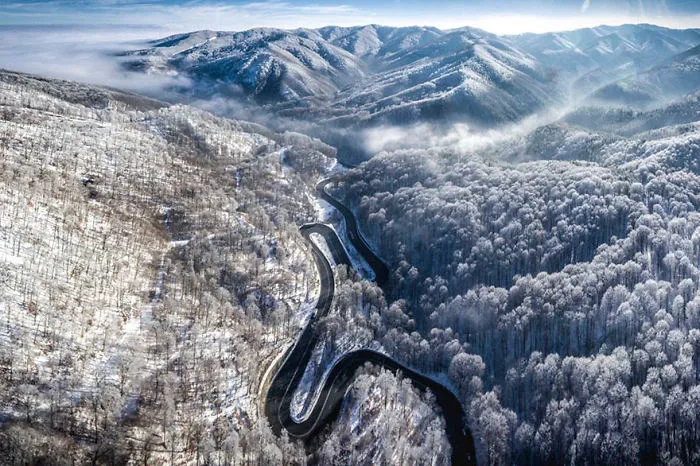 Infinite Road To Transylvania, Romania (Nature - Finalist)