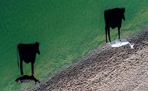 The Best Drone Photos Of 2017 Have Just Been Announced, And They Will Take Your Breath Away