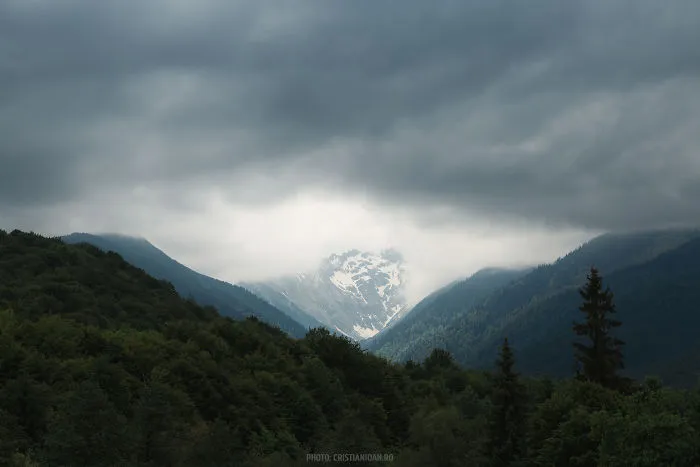 Albota, Sibiu County