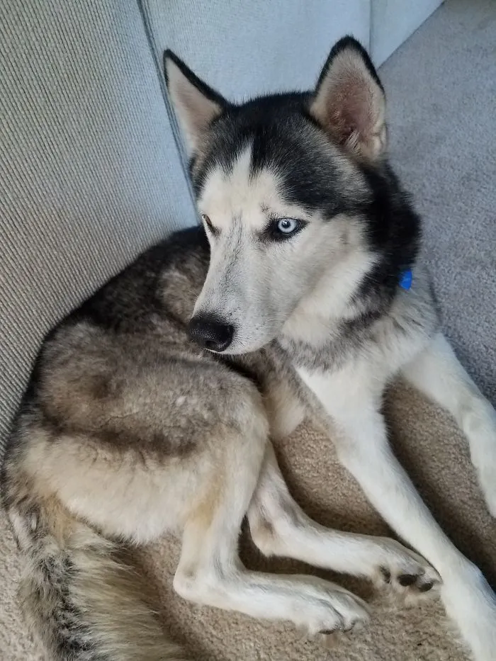 Fostering For A Better Tomorrow