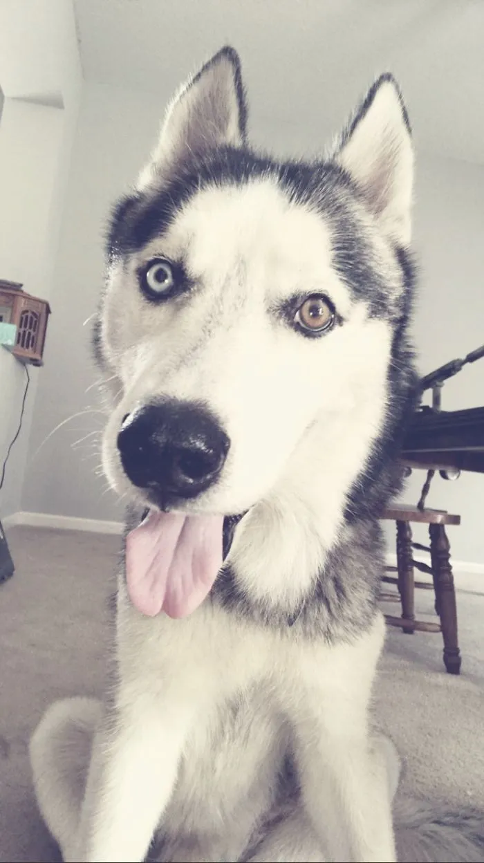 Axel Update