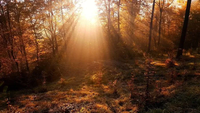 I Want To Show The Beauty Of Poland Using Smartphone (Part 3)