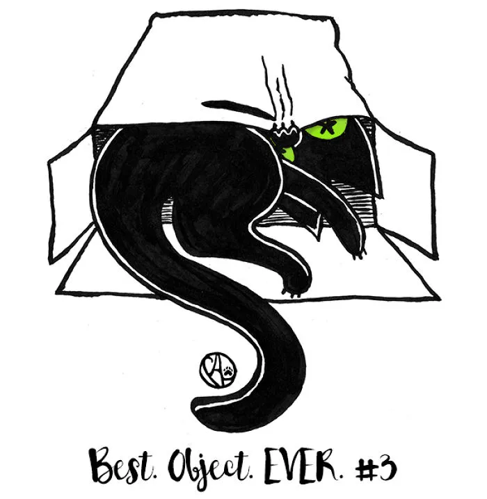 My Girlfriend Illustrates Our Life With 3 Cats And A Dog