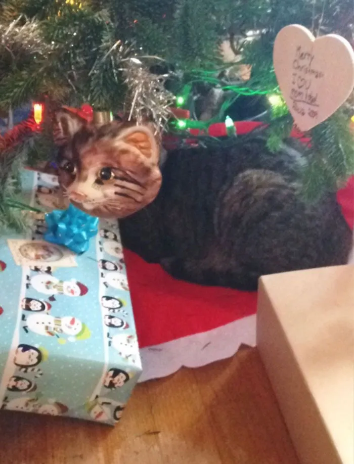Hay un ornamento que es una cabeza de gato, y mi gato se ha colocado perfectamente detrás