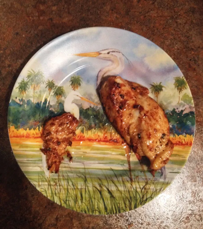 Pechugas de pollo alineadas con los pájaros del plato
