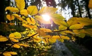 I Want To Show The Beauty Of Poland Using Smartphone (Part 2)
