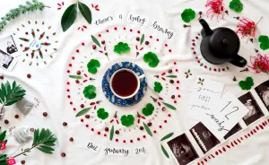 There's A Baby Brewing: Flat Lay, Stop Frame Animation - Pregnancy Announcement