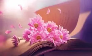 I Use Flowers To Create Magical Images