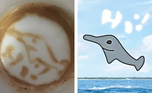 My Wife Thinks She Is Picasso Of The Barista World