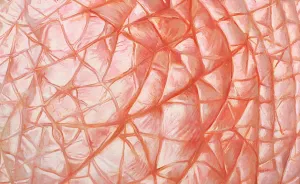 My Hyperrealistic Paintings Of Human Skin