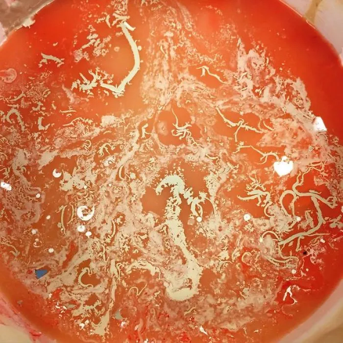 Paint In A Bucket