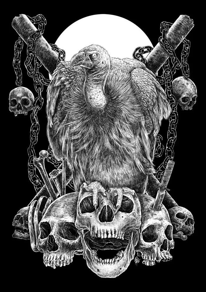 The Vulture