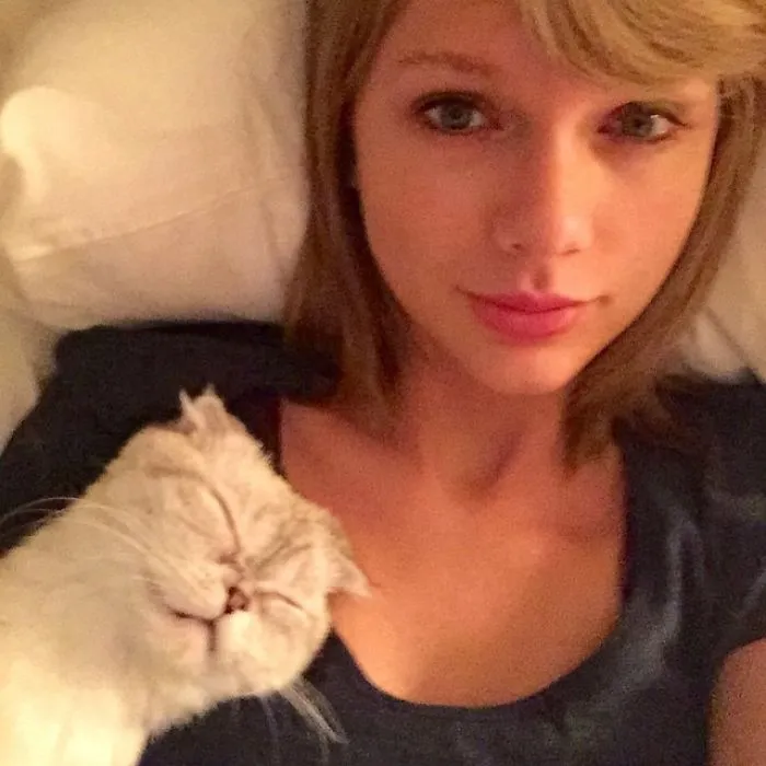 Person with no makeup lying on a bed, accompanied by a relaxed cat.
