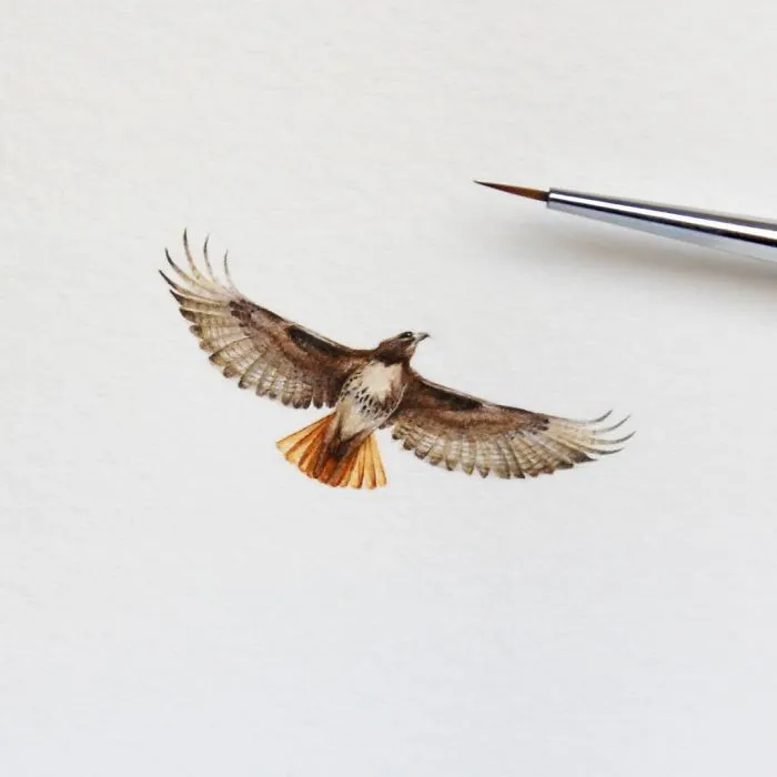 I Started Drawing Miniature Paintings Because I Did Not Have Time For Bigger Drawings And Now It's My Passion