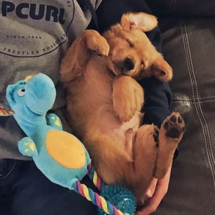 Más siesta