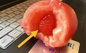 Man Claims To Have Found The World’s First Straw Mato And It’s Really Weird