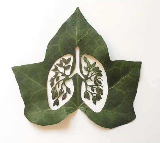A Caterpillar Having Lunch Inspired Me To Start Creating Leaf Cutting Art