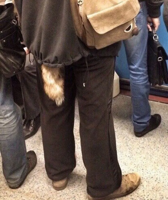 Just A Dude With A Tail