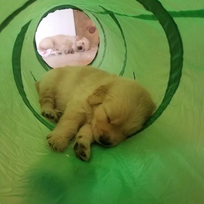Playtime Ends Like This