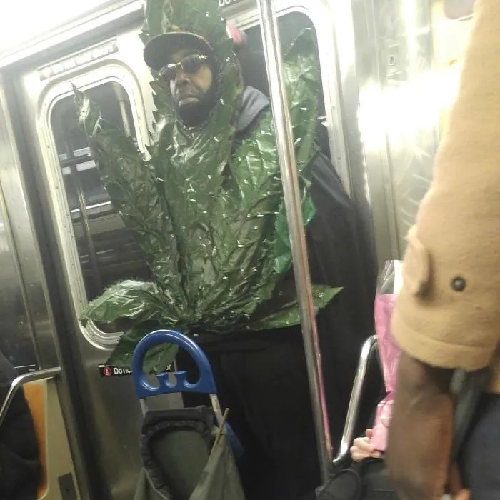 How I Feel When I'm Stoned In Public