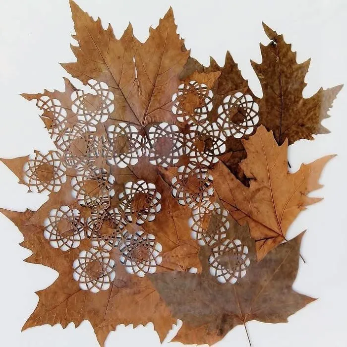 A Caterpillar Having Lunch Inspired Me To Start Creating Leaf Cutting Art