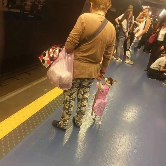 What A Weird Looking Kid