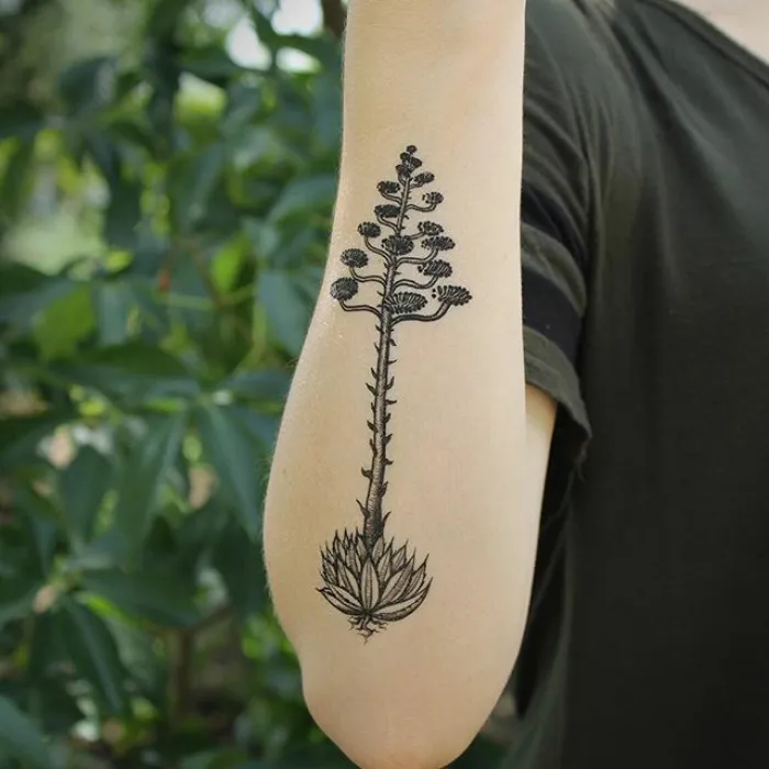 139 Awesome Succulent Tattoo Ideas For People Who Are Crazy About Succulents