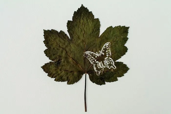 A Caterpillar Having Lunch Inspired Me To Start Creating Leaf Cutting Art
