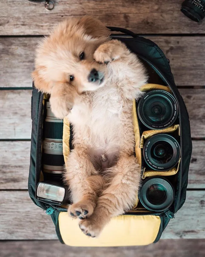 Hola