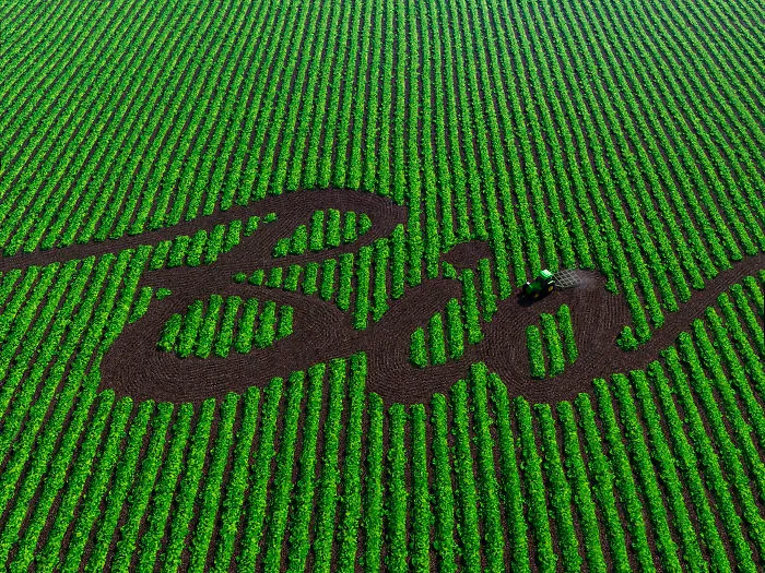 Why Go Organic?
