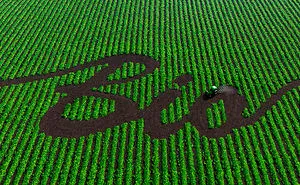 Why Go Organic?