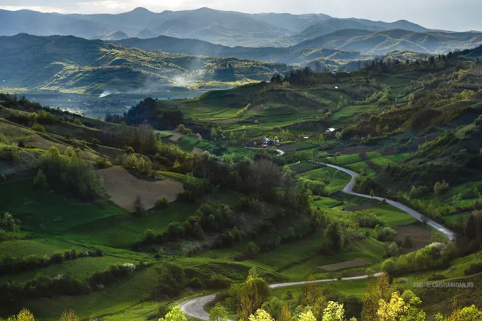 Bocicoel Village, Maramureș County