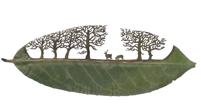 A Caterpillar Having Lunch Inspired Me To Start Creating Leaf Cutting Art
