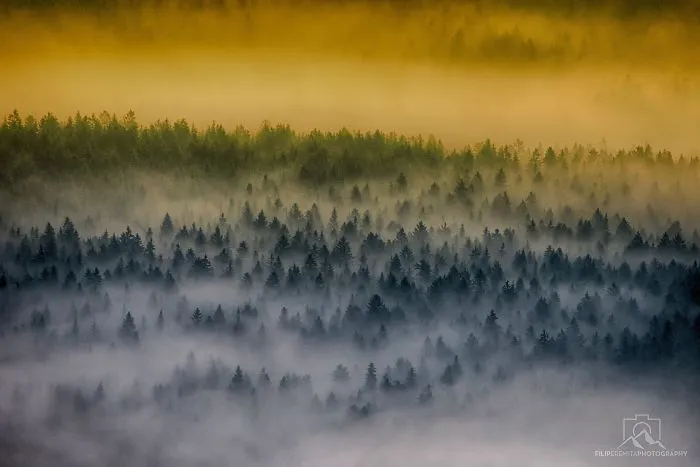 Chasing Sunrays In Upper-Savinjska Valley, Slovenia