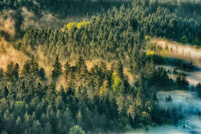 Chasing Sunrays In Upper-Savinjska Valley, Slovenia