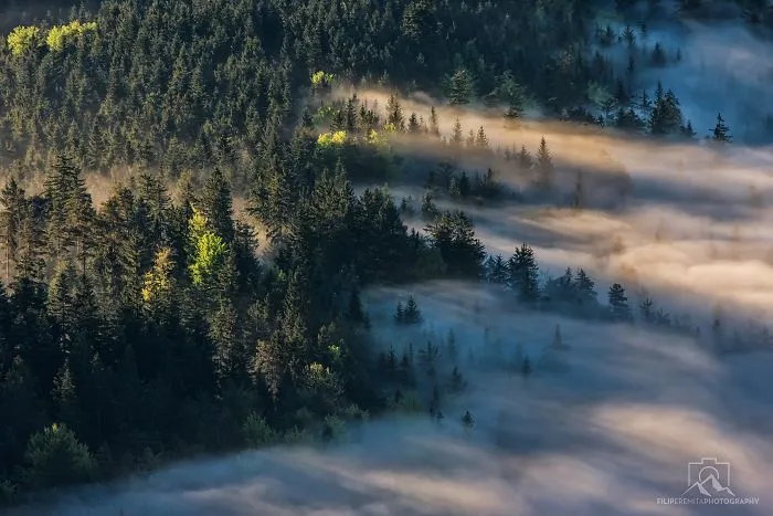 Chasing Sunrays In Upper-Savinjska Valley, Slovenia