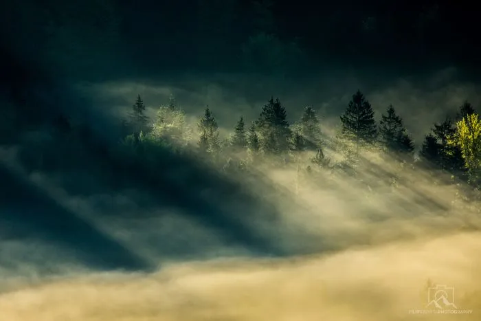 Chasing Sunrays In Upper-Savinjska Valley, Slovenia