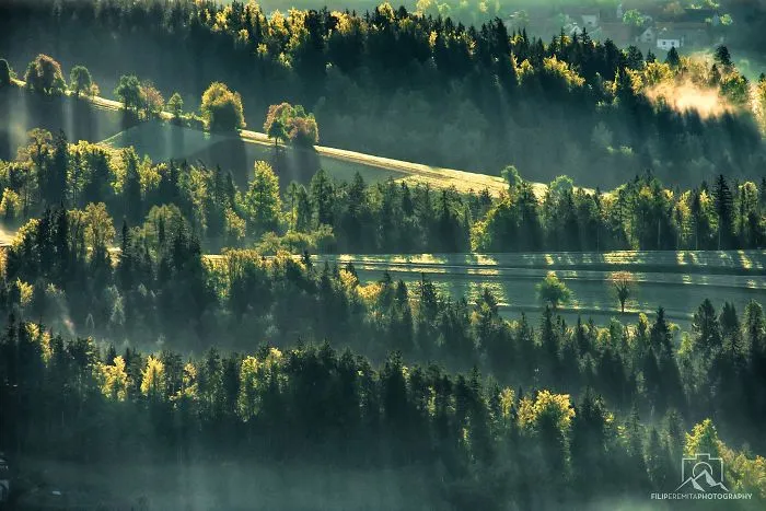 Chasing Sunrays In Upper-Savinjska Valley, Slovenia