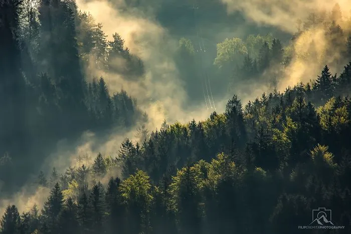 Chasing Sunrays In Upper-Savinjska Valley, Slovenia