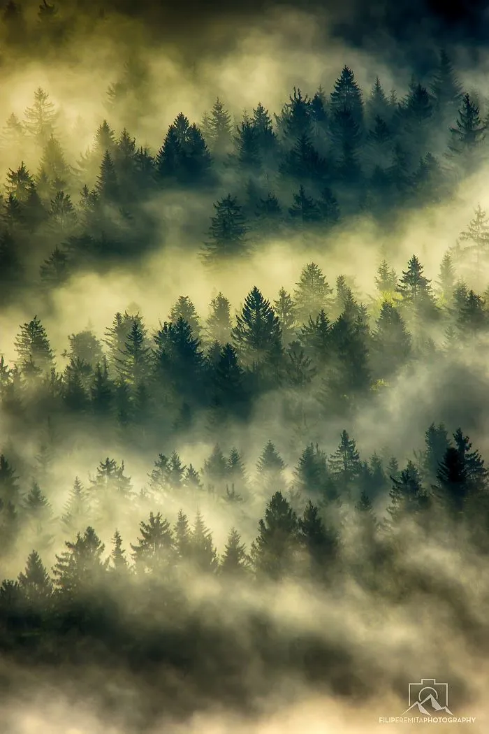 Chasing Sunrays In Upper-Savinjska Valley, Slovenia