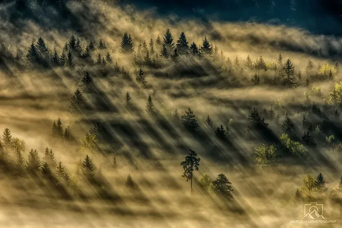 Chasing Sunrays In Upper-Savinjska Valley, Slovenia