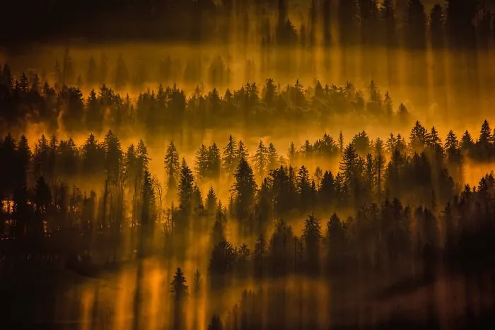 Chasing Sunrays In Upper-Savinjska Valley, Slovenia