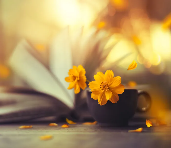 I Use Flowers To Create Magical Images