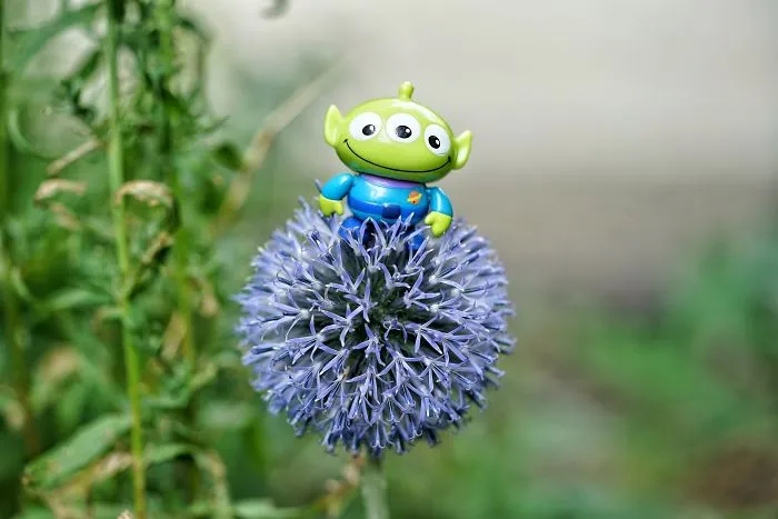 I Turn My Toys Alive With My Camera