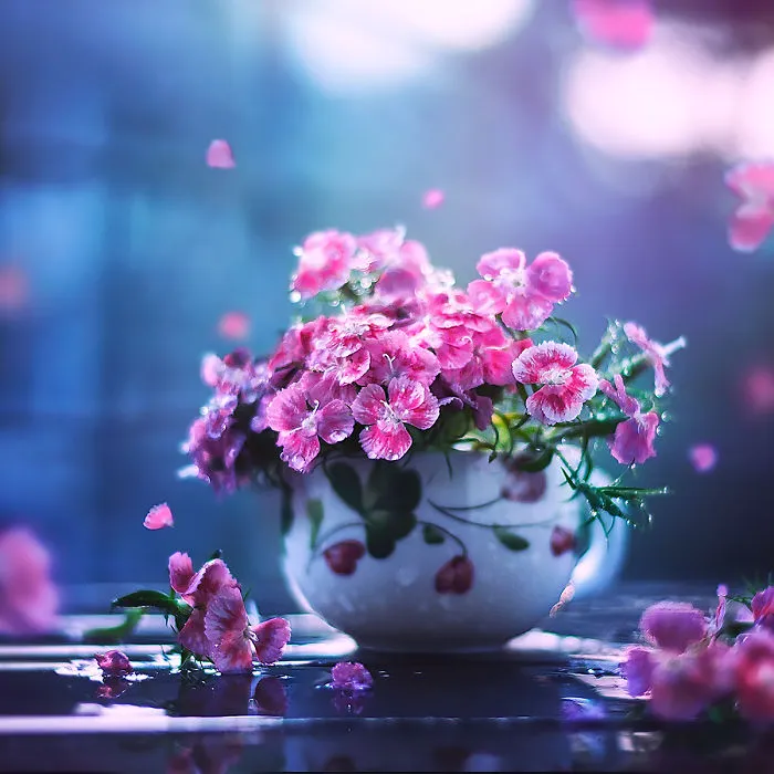 I Use Flowers To Create Magical Images