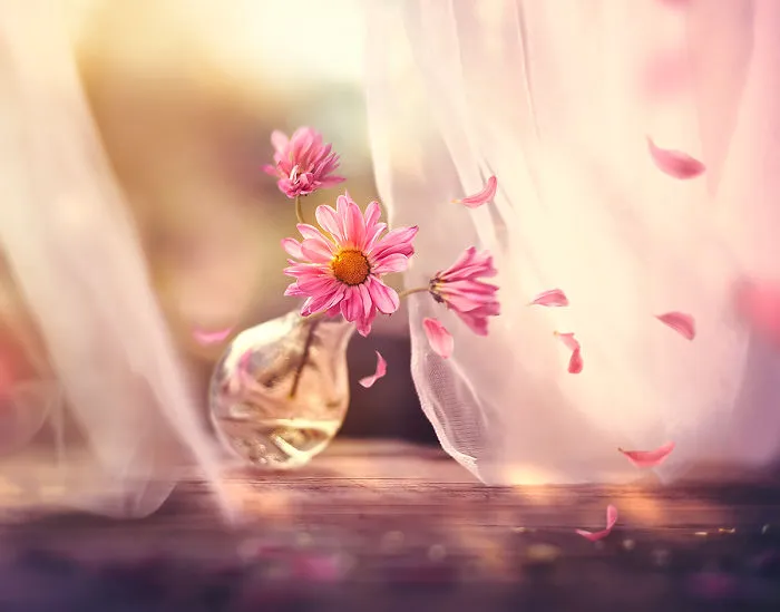 I Use Flowers To Create Magical Images